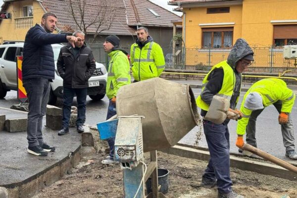 sursa foto: Facebook Primăria Orașului Geoagiu