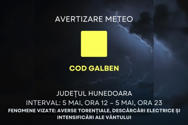 sursa foto: Facebook Consiliul Județean Hunedoara