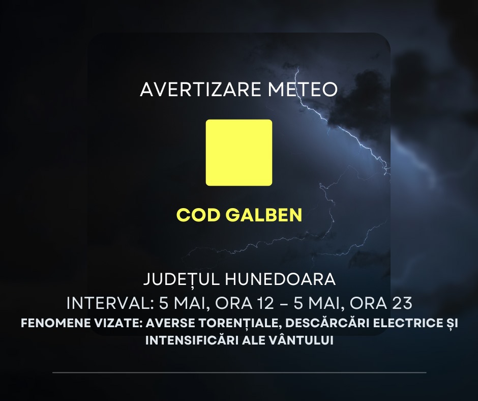 sursa foto: Facebook Consiliul Județean Hunedoara